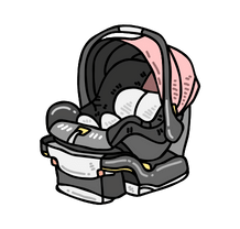 Car Seat and Accessories